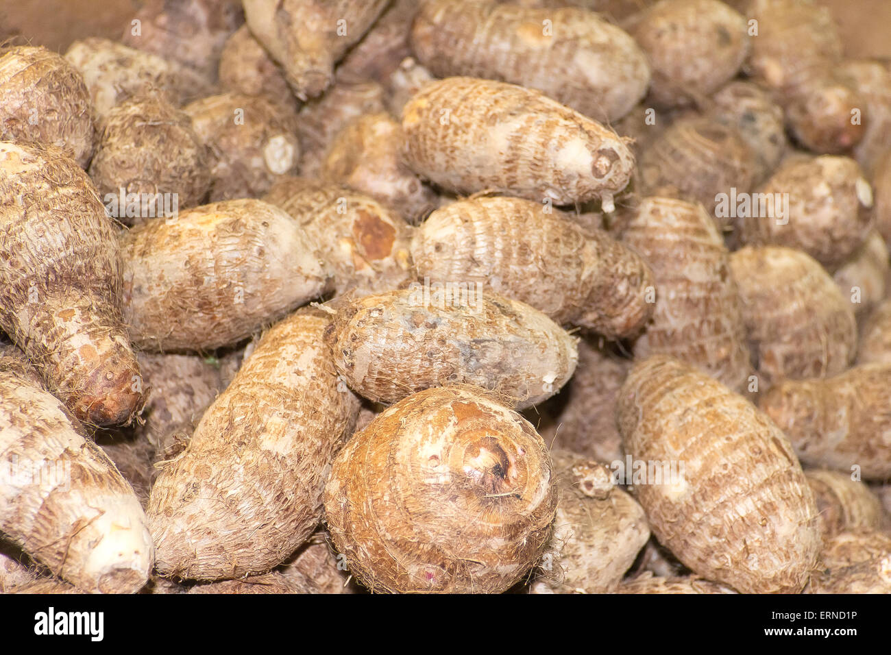 Pile of Satoimo potatoes or taro roots at an Asian market in Chinatown Stock Photo
