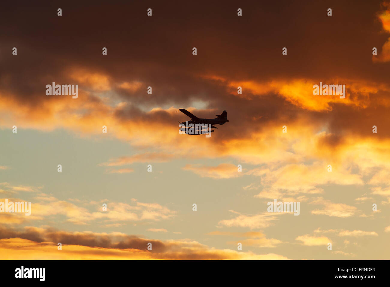 Floatplane flying in the sunset, North Vancouver, British Columbia, Canada Stock Photo