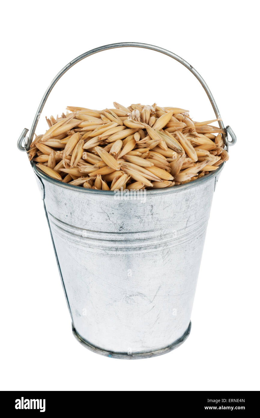 Bucket with  oats, isolated on white background Stock Photo