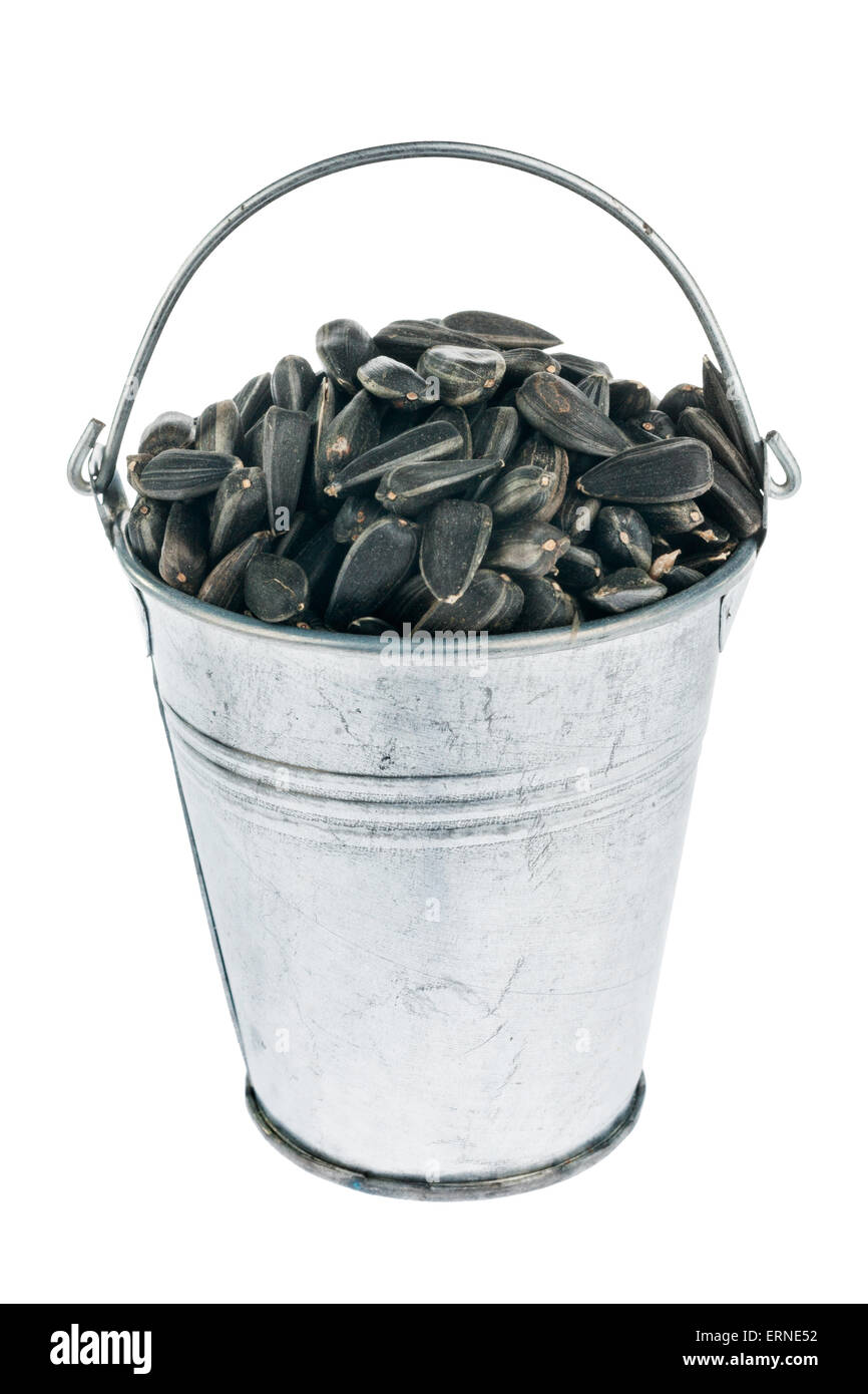 Bucket with sunflower seeds, isolated on white background Stock Photo Alamy