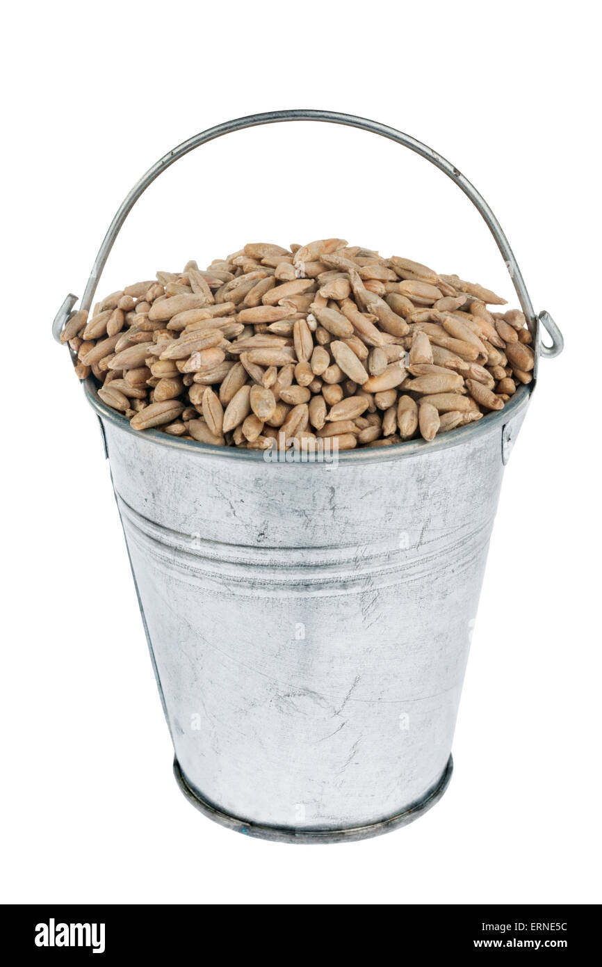 Bucket with rye, isolated on white background Stock Photo - Alamy