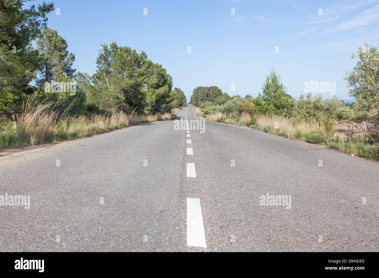 Country road through the landscape Stock Photo