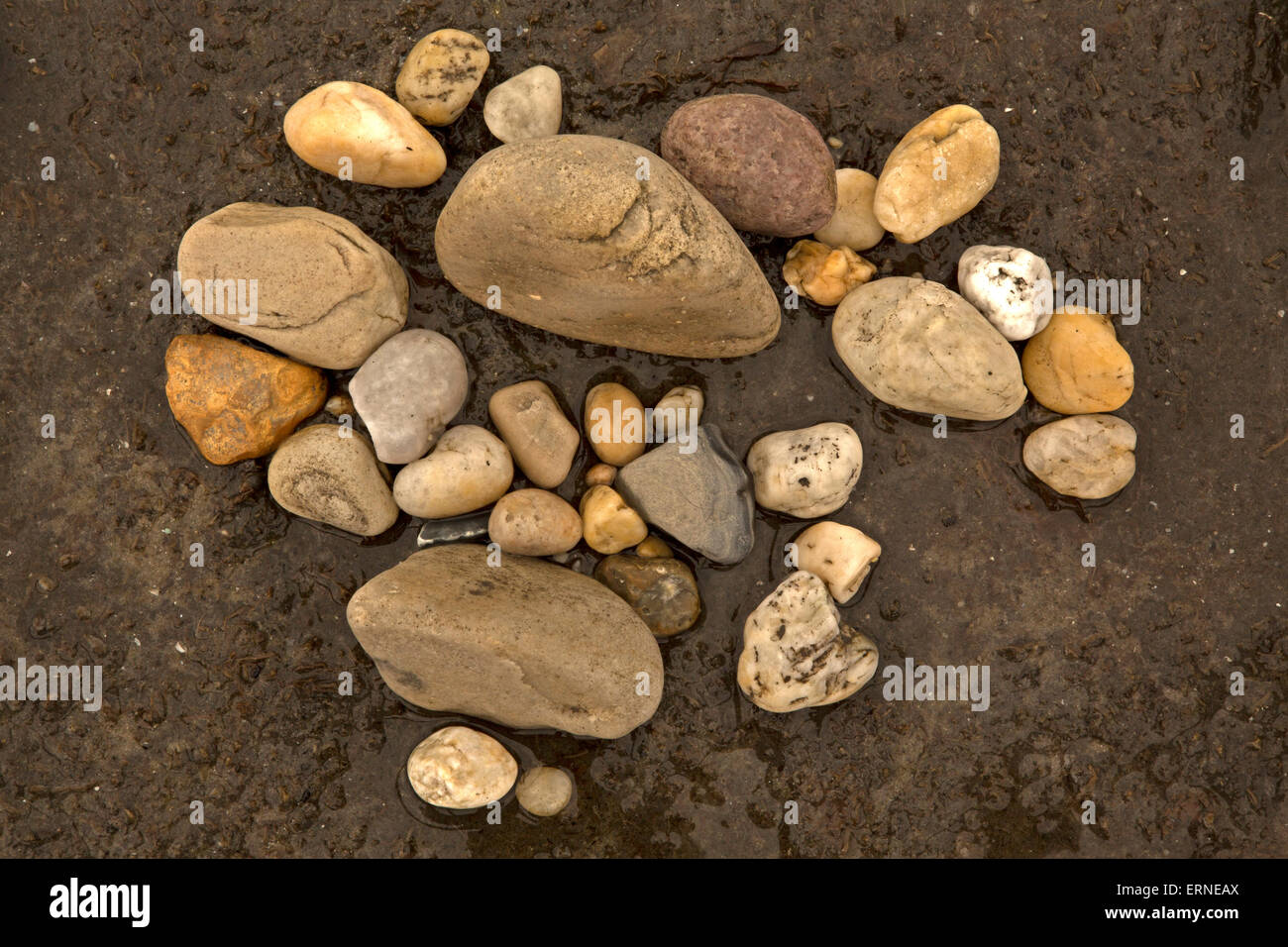 Rocks on beach Delaware bay, Delaware Stock Photo