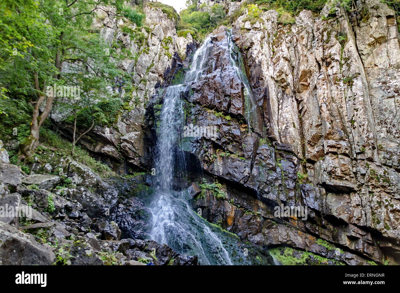 Fresh Boyana waterfalls in deep forest and rock, Vitosha, Bulgaria Stock Photo