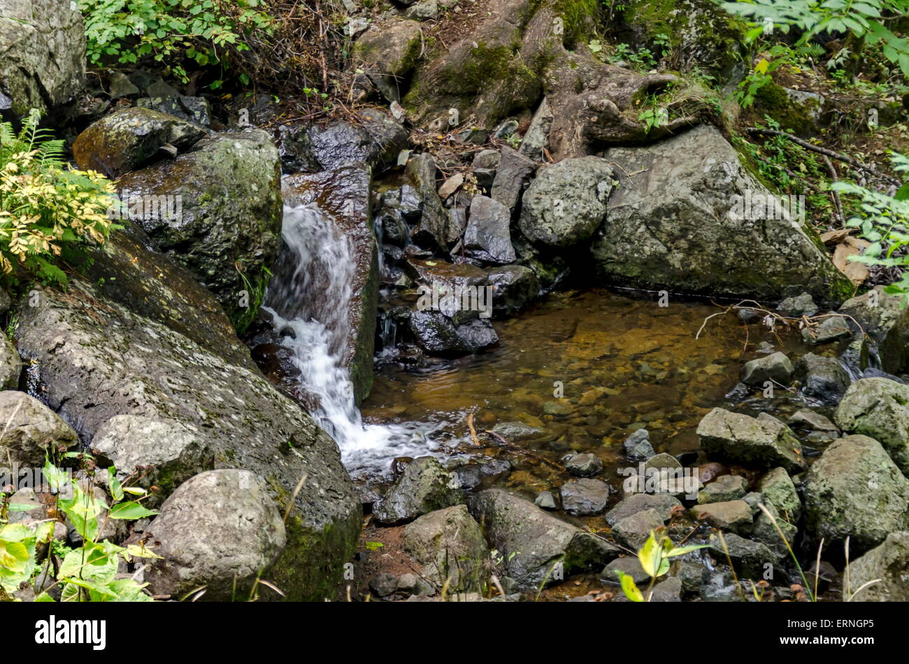Fresh Boyana waterfalls in deep forest and rock, Vitosha, Bulgaria Stock Photo
