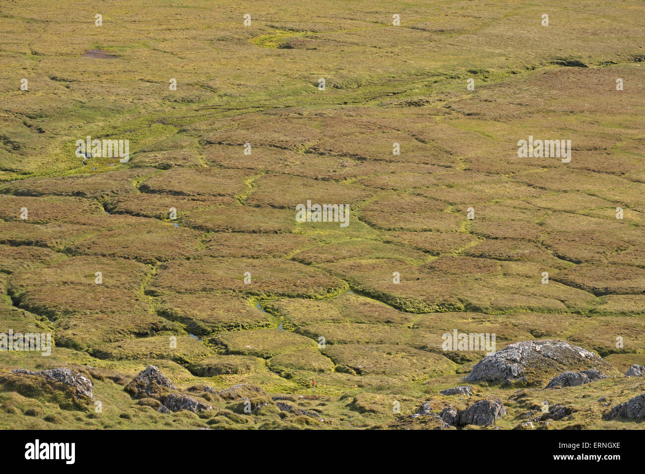 Pattern created in ground due to permafrost, beneath cliff of Alkhonet ...