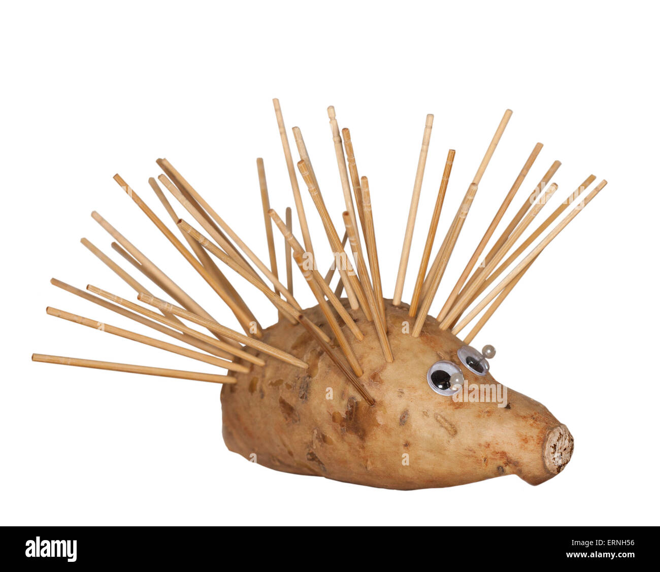 Hedgehog, porcupine or spiny echidna made from sweet potato with plastic eyes and mass of wooden spines on white background Stock Photo