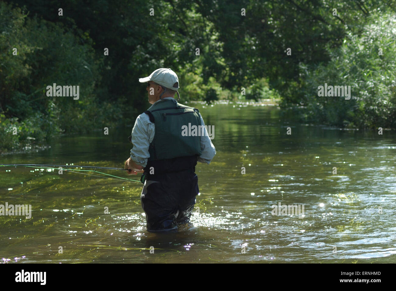 A man fly fishing on the River Avon in Wiltshire Stock Photo Alamy