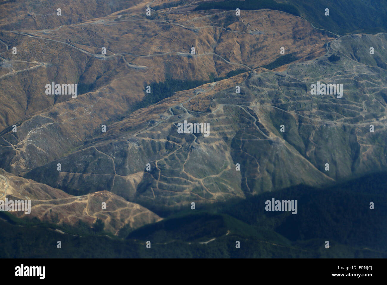 Aerial of logging areas south island New Zealand Stock Photo