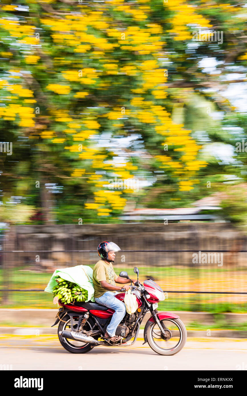 Moped speeding on the streets of negombo carrying bananas hires stock