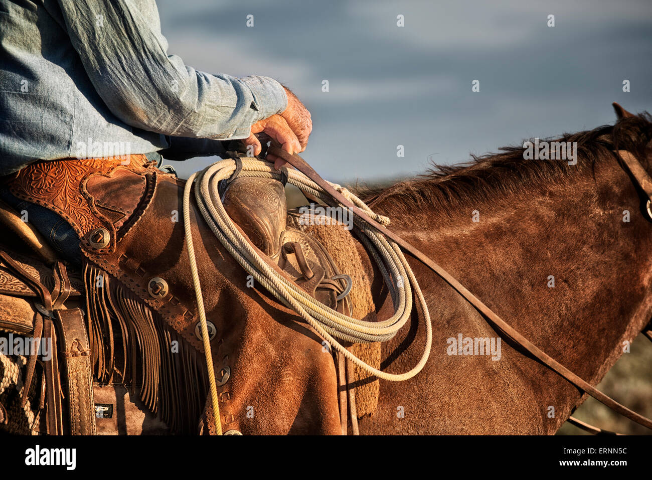 Cowboys Rope and Chap Detail Stock Photo