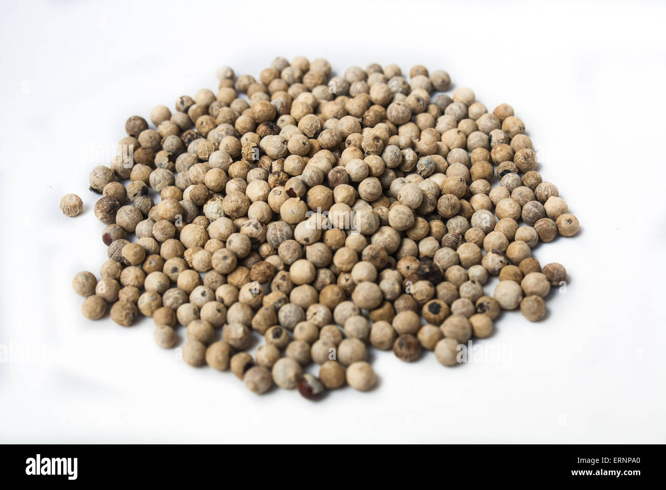 Pile of White Peppercorns Fruit (Piper sp.) Stock Photo Stock Photo Alamy