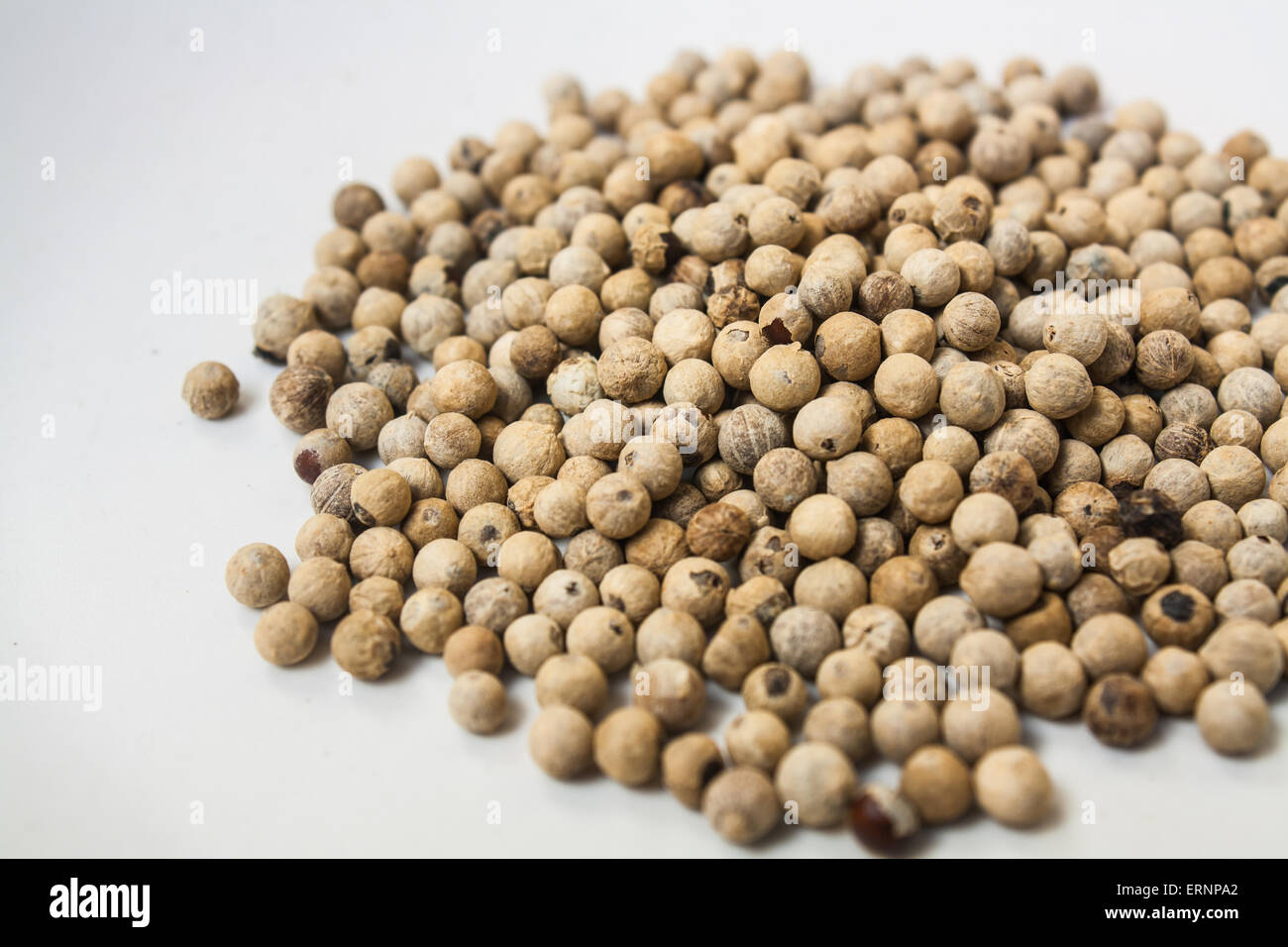 Pile of White Peppercorns Fruit (Piper sp.) Stock Photo Stock Photo Alamy