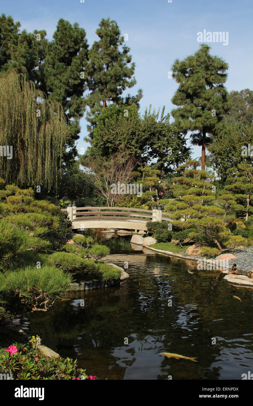 Japanese garden – Earl Burns Miller Japanese garden in Long Beach Stock Photo