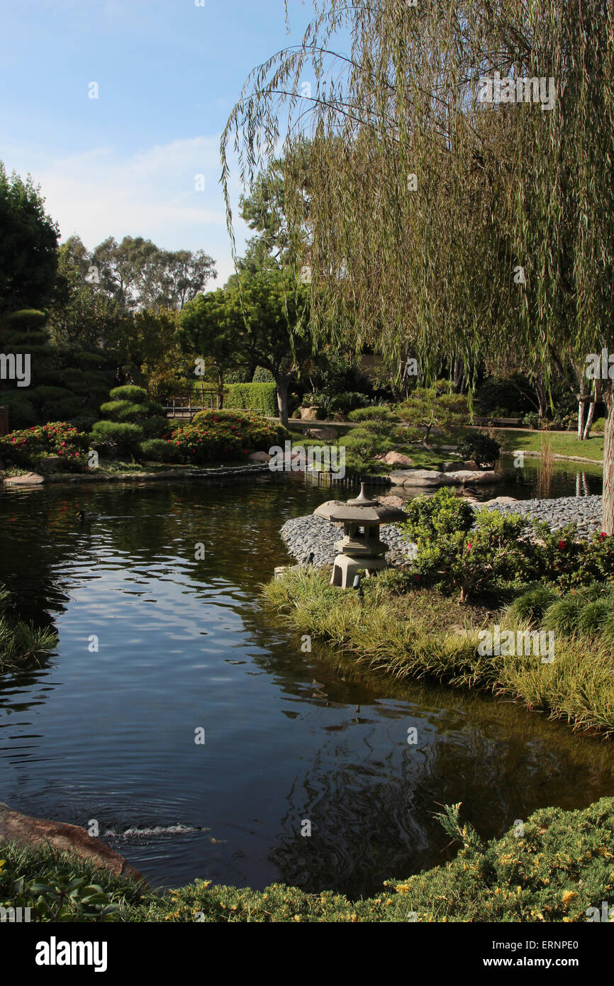 Japanese garden – Earl Burns Miller Japanese garden in Long Beach Stock Photo