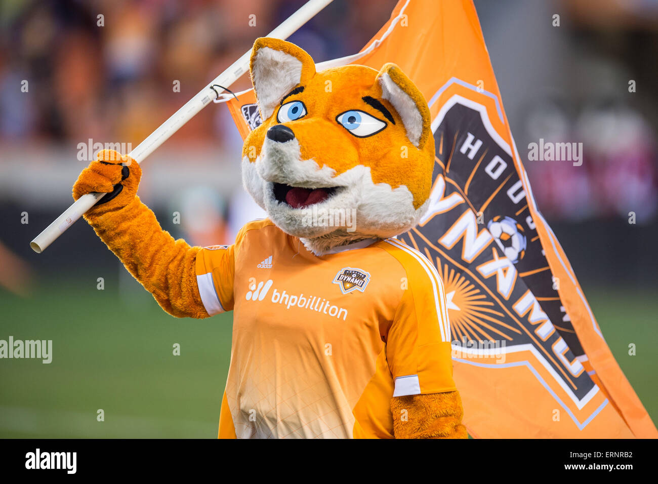 Houston, Texas, USA. 5th June, 2015. Houston Dynamo mascot Diesel