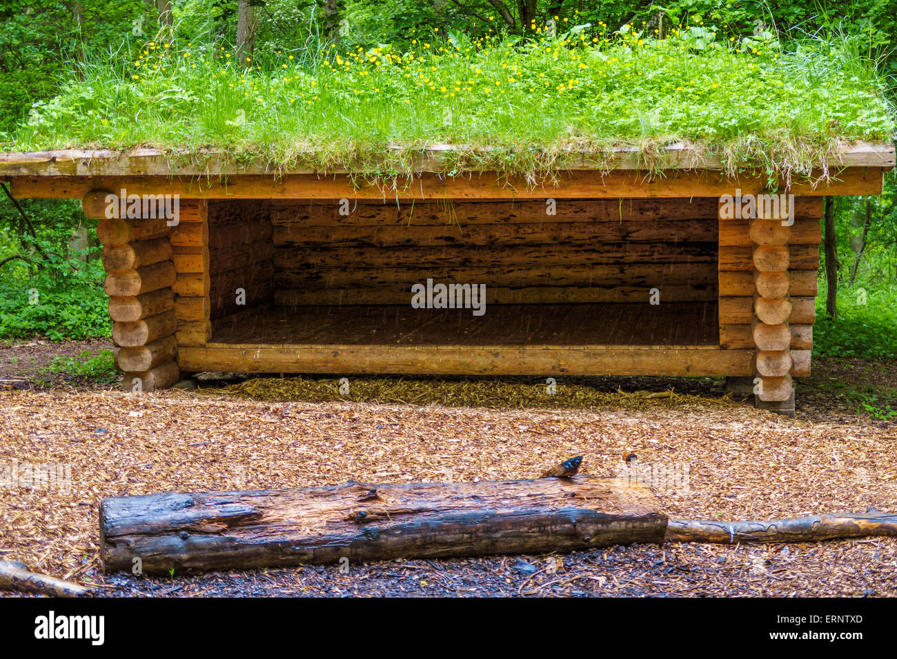 The Danish shelters in Fineshade Wood, Corby, Northants, UK. Used