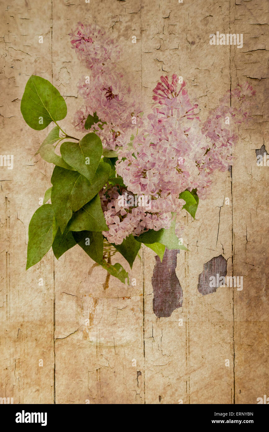 Lilacs pictured against a rustic, vintage looking background. Stock Photo
