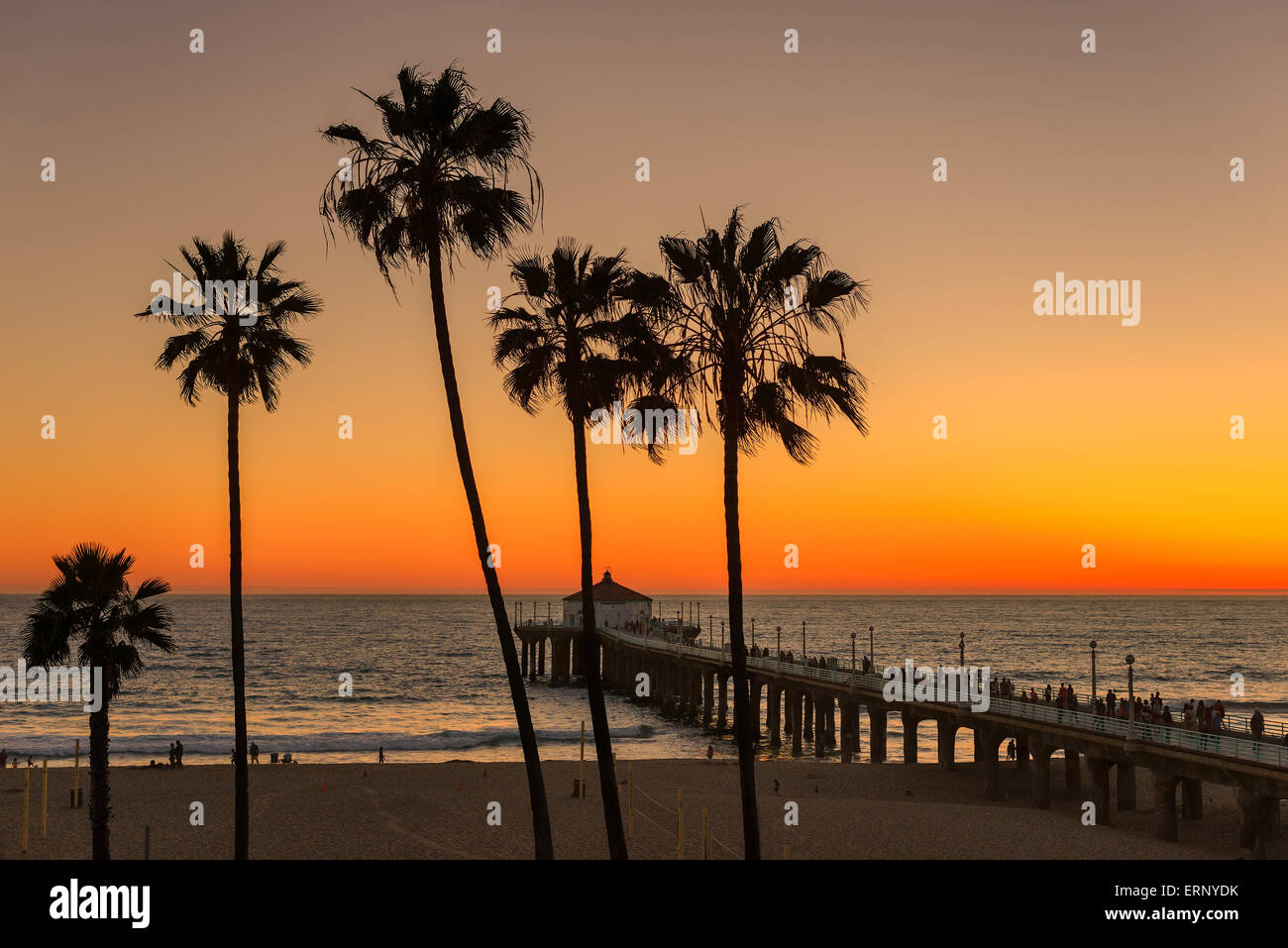 The palm trees in Manhattan Beach and Pier under a orange sunset, Los Angeles, California. Stock Photo