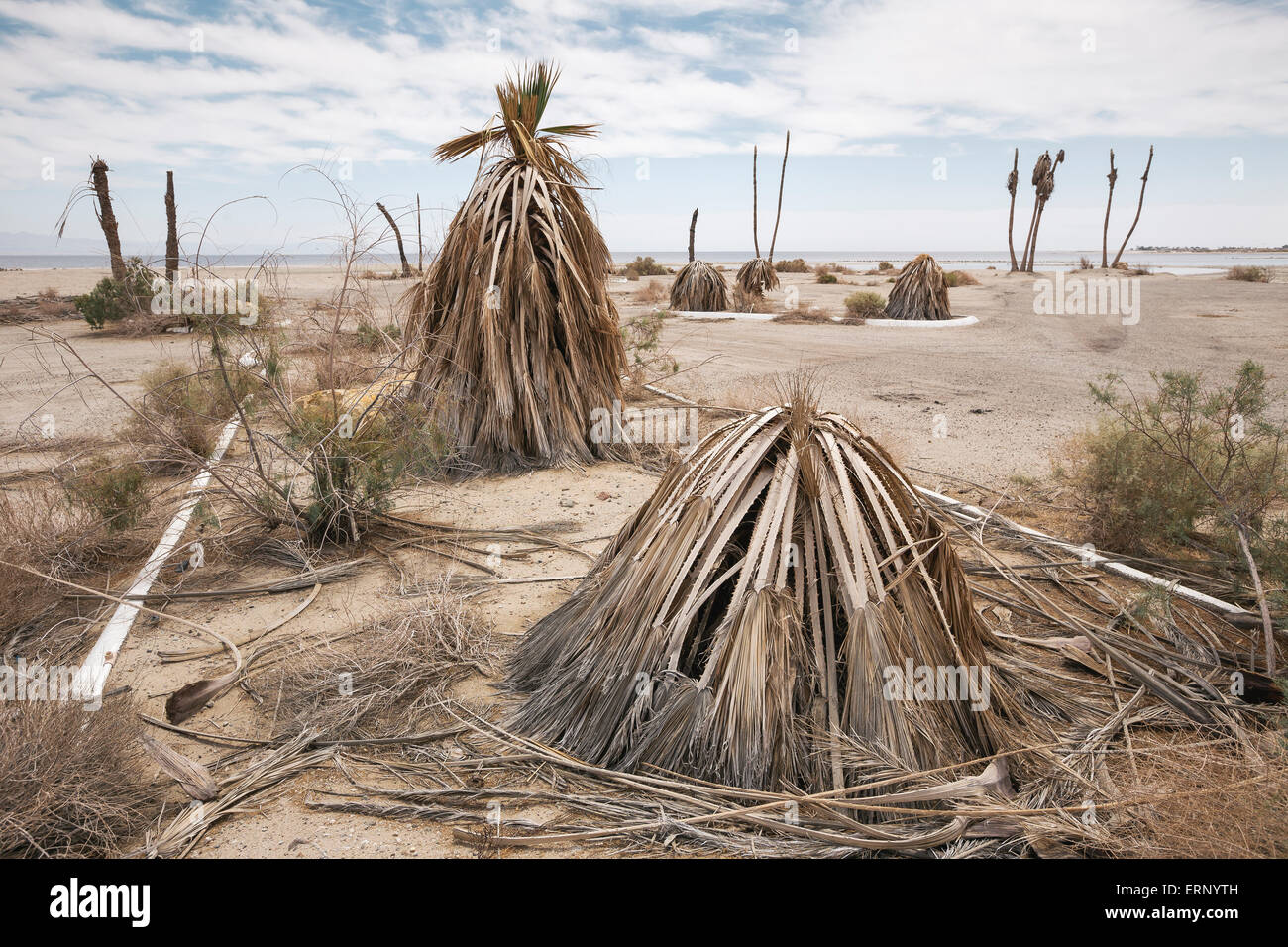 Salton City, California, USA. 04th June, 2015. Little remains of the