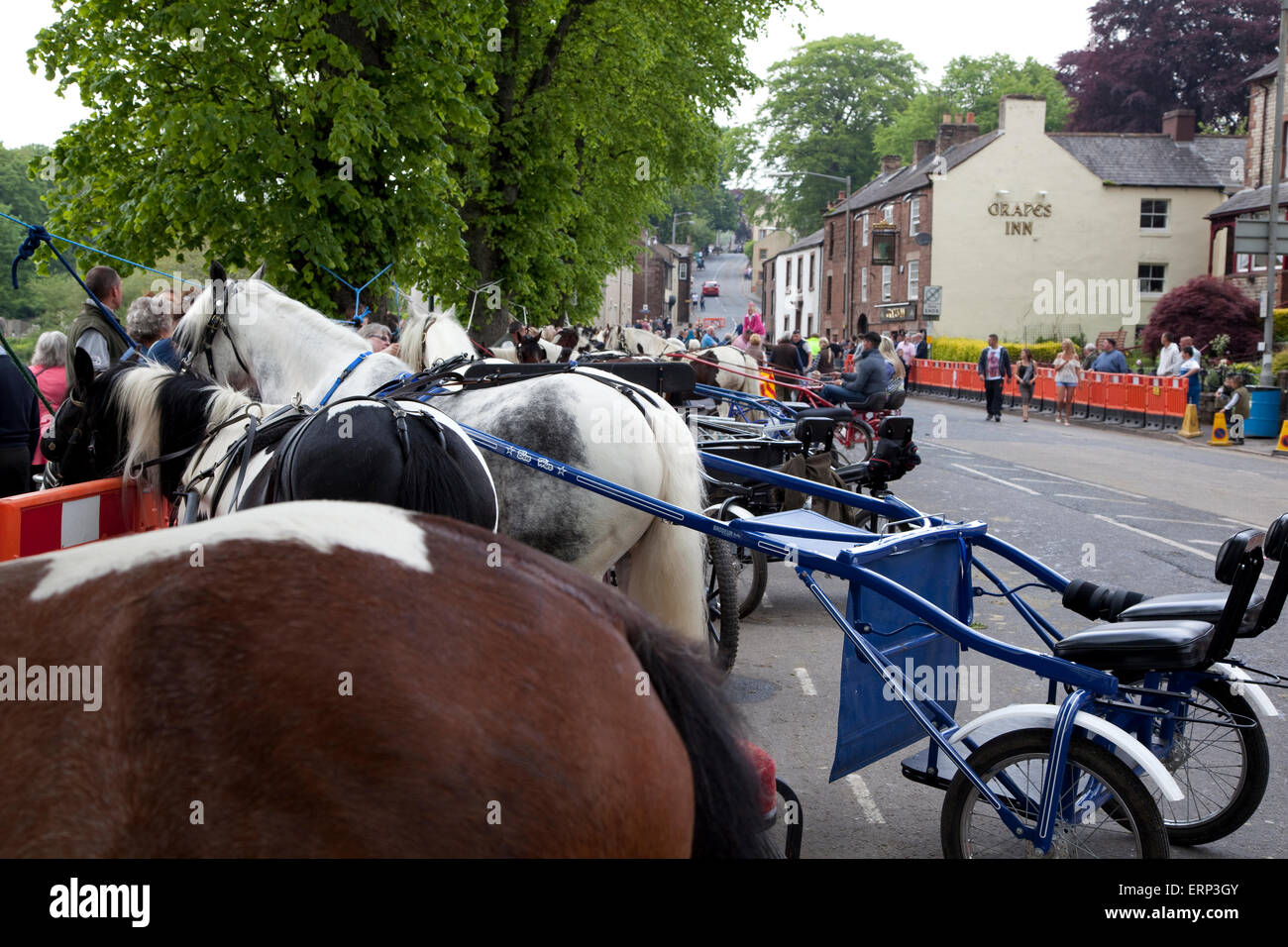 Appleby Horse Fair Cumbria UK Stock Photo Alamy