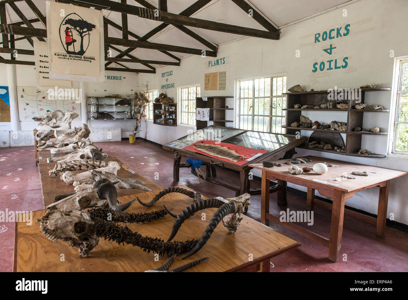 Koiyaki Guiding School Maasai Mara National Reserve in southern Kenya