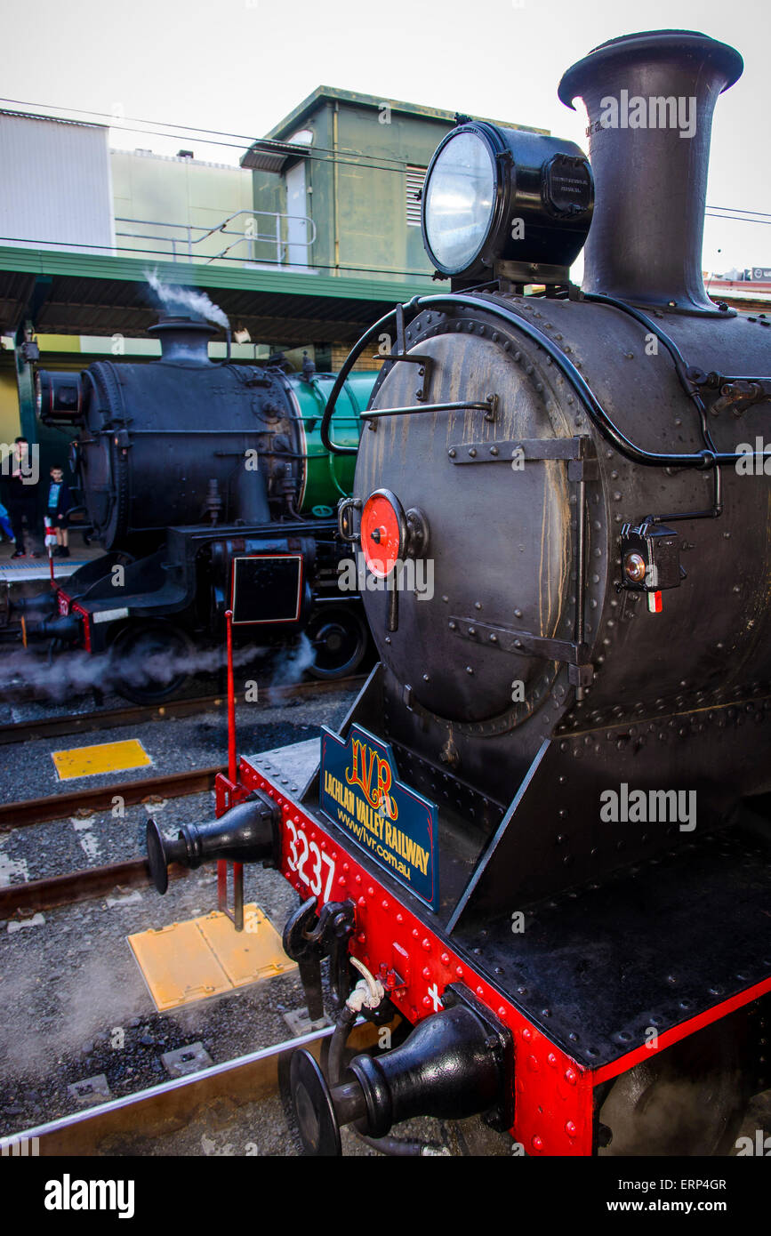 Sydney, AUSTRALIA - June 06, 2015: The Great Train Race from Central to ...