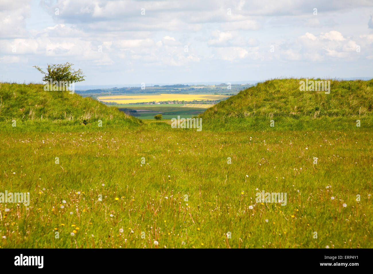 A gap in the Wansdyke Saxon defensive embankment on chalk downs, All Cannings down, Wiltshire, England, UK Stock Photo