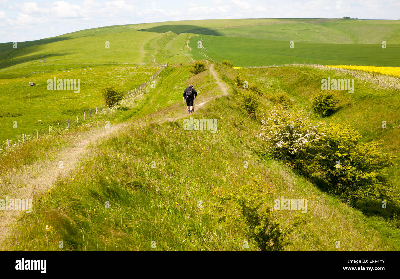 Two men walking along the ditch and embankment of the Wansdyke a Saxon defensive structure on All Cannings chalk downs near Tan Stock Photo