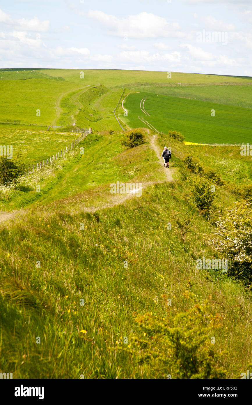 Two men walking along the ditch and embankment of the Wansdyke Tan Hill, Wiltshire, England, Stock Photo