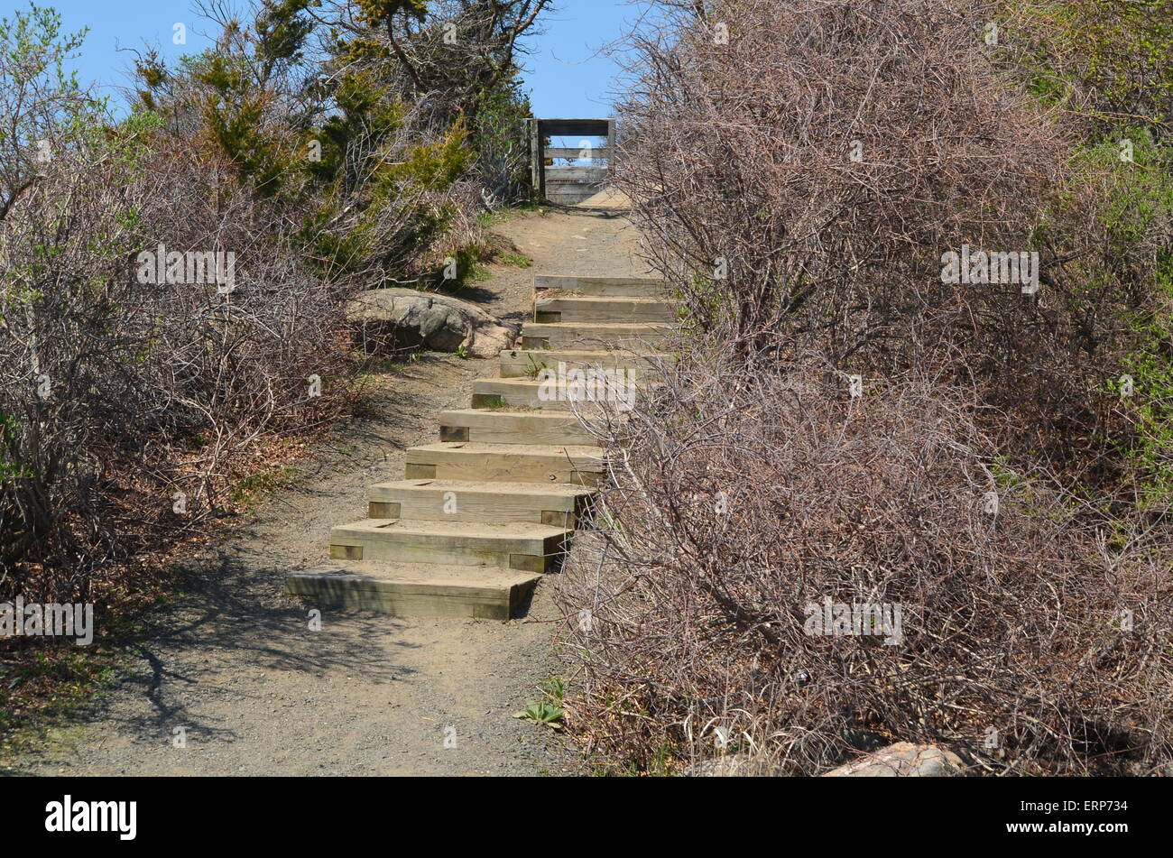 Wood on stairs hi-res stock photography and images - Alamy