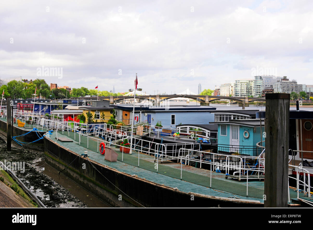 House boats, Chelsea Embankment, London, England Stock Photo