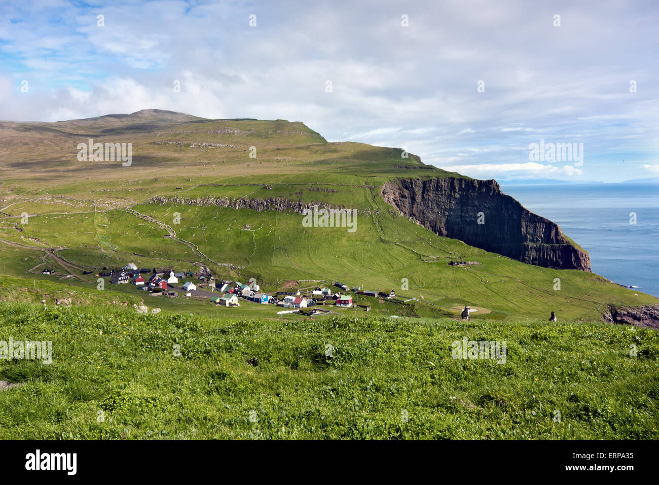 Idyllic nordic village surrounded by green fields and sea cliffs Stock Photo