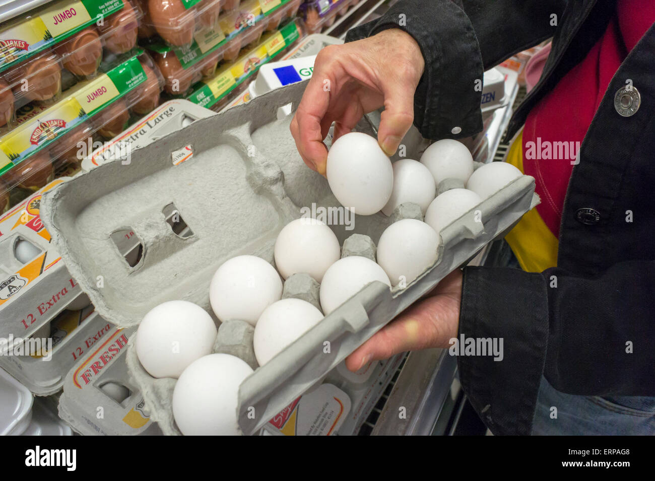 A shopper checks for broken eggs in a supermarket in New York on Wednesday, June 3, 2015. The worst outbreak of bird flu in the U.S. has caused the death of almost 45 million chickens and turkeys  causing wholesale prices to double in the last month. Over 10 percent of all the hens have died.  (© Richard B. Levine) Stock Photo