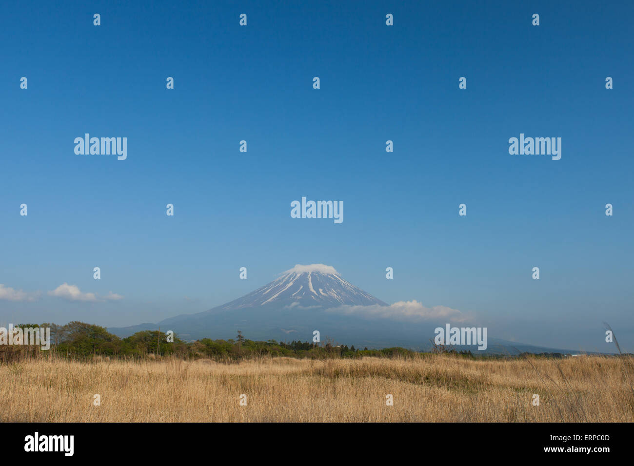 Panoramic view of Mount Fuji Stock Photo
