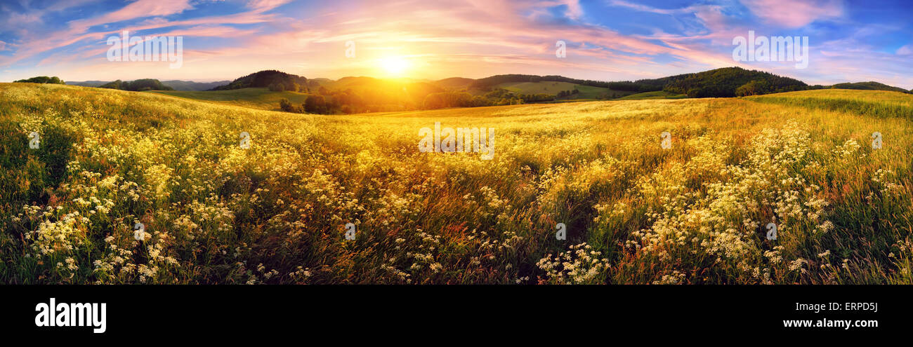 Panorama of a colorful sunset on beautiful meadow, wide format rural landscape with vibrant colors Stock Photo