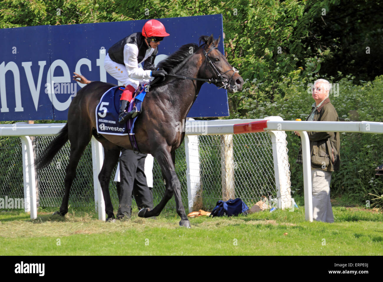 Epsom Downs Surrey UK. 6th June, 2015. No. 5 Golden Horn the pre race favourite and winner, riden by Frankie Dettori heads for the start before the big race the Investec Derby 2015. Stock Photo