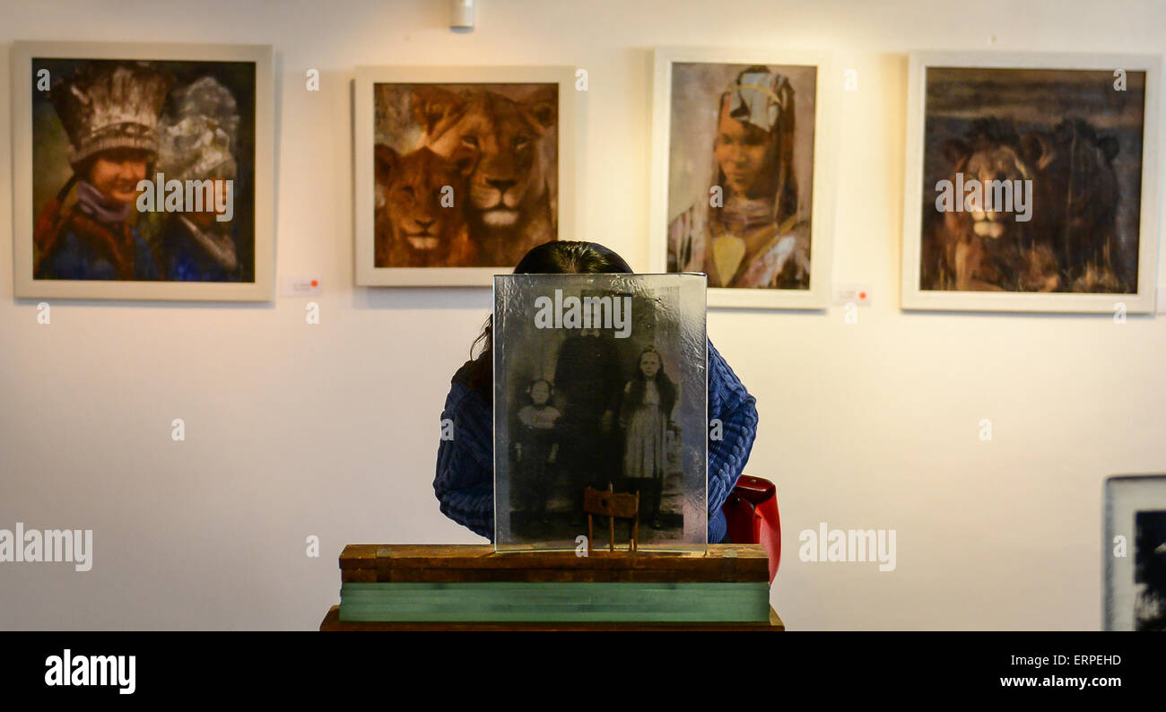 Johannesburg, South Africa. 6th June, 2015. A journalist looks at a piece of art works by South African artist Liesl Roos during the "Diverse¡¤Collaboration" art exhibition at the Workers' Museum in Johannesburg, South Africa, on June 6, 2015. A South African and Chinese cross-cultural exhibition "Diverse¡¤Collaboration" was held here Saturday. More than 40 works including oil paintings, engravings and sculptures are showed in the exhibition. Credit:  Zhai Jianlan/Xinhua/Alamy Live News Stock Photo