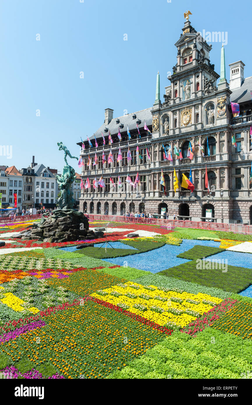Belgium, Antwerp, flower carpet on the Grote Markt Stock Photo Alamy