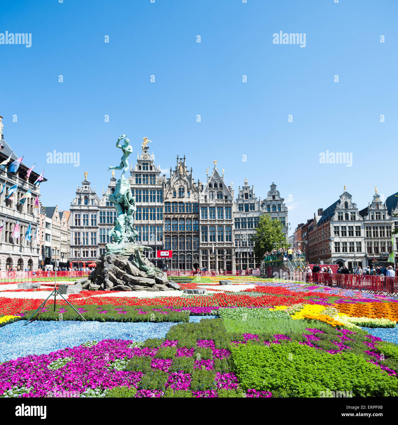 Belgium, Antwerp, flower carpet on the Grote Markt Stock Photo Alamy