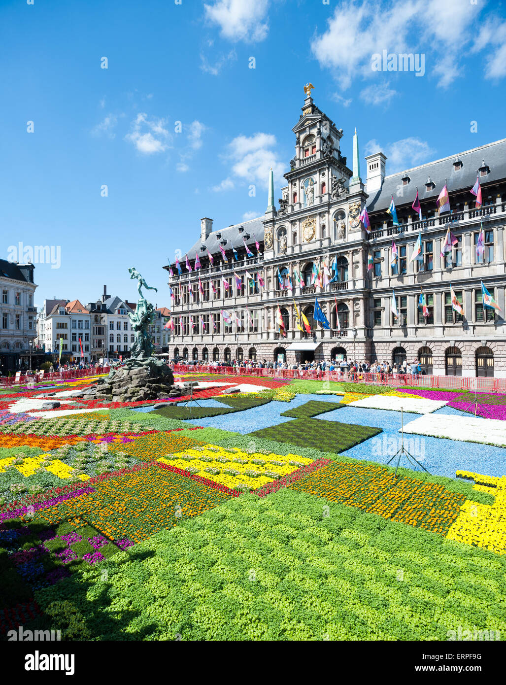 Belgium, Antwerp, flower carpet on the Grote Markt Stock Photo Alamy