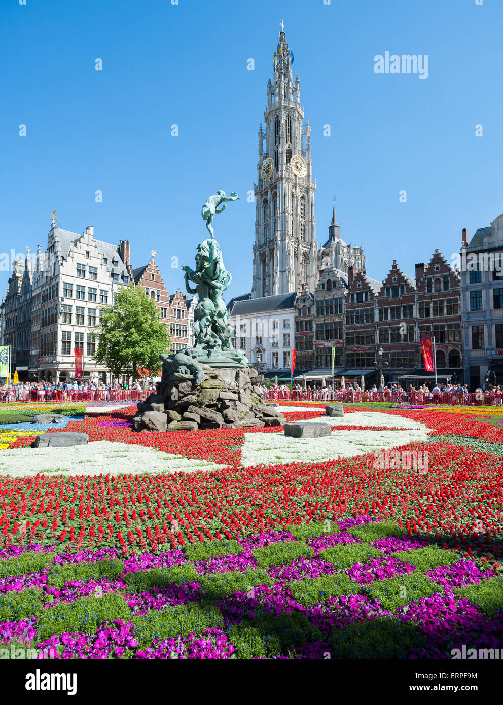 Belgium, Antwerp, flower carpet on the Grote Markt Stock Photo Alamy