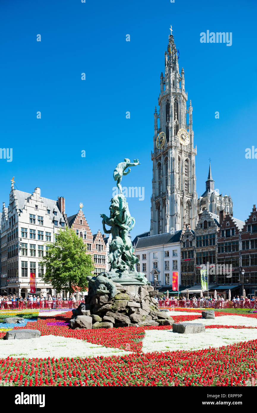 Belgium antwerp flower carpet on hires stock photography and images Alamy