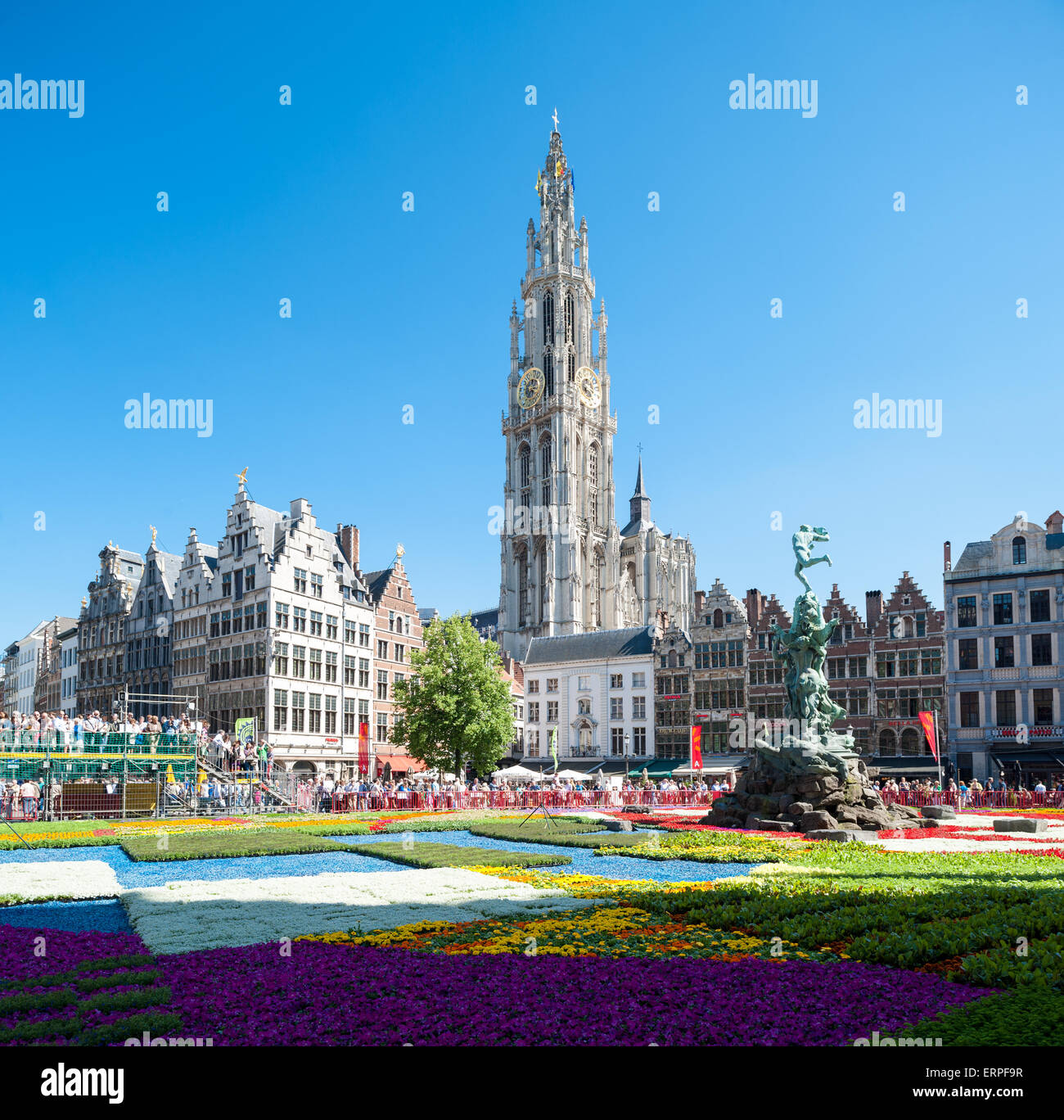 Belgium, Antwerp, flower carpet on the Grote Markt Stock Photo Alamy