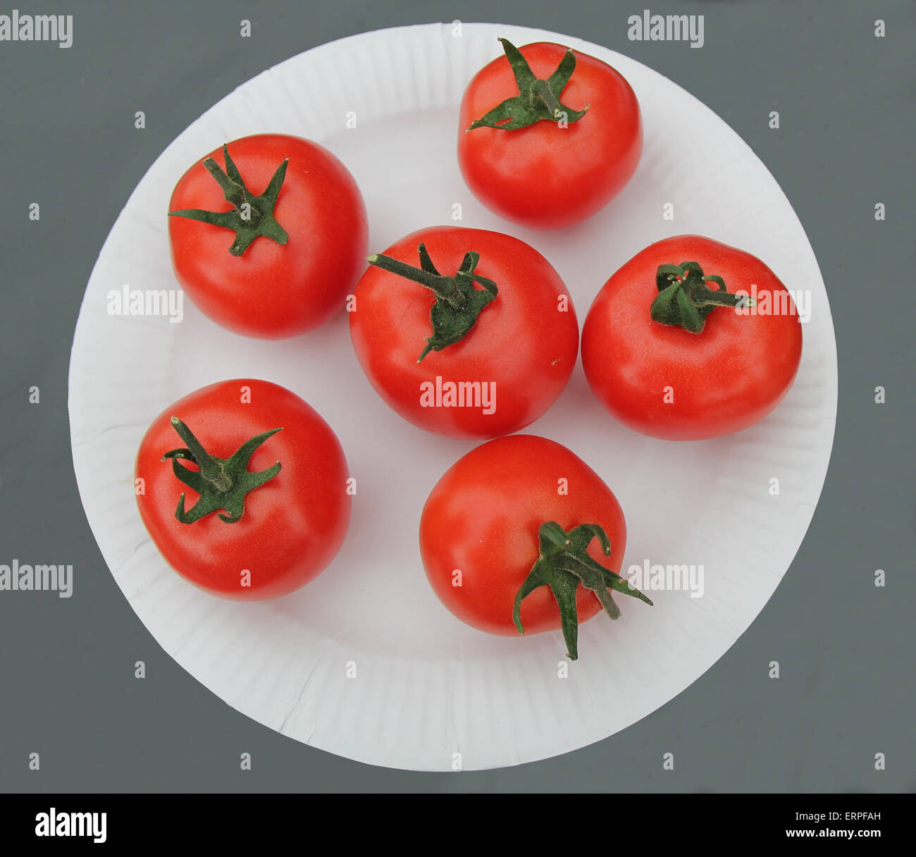 Six Display Red Tomatoes on a White Paper Plate. Stock Photo