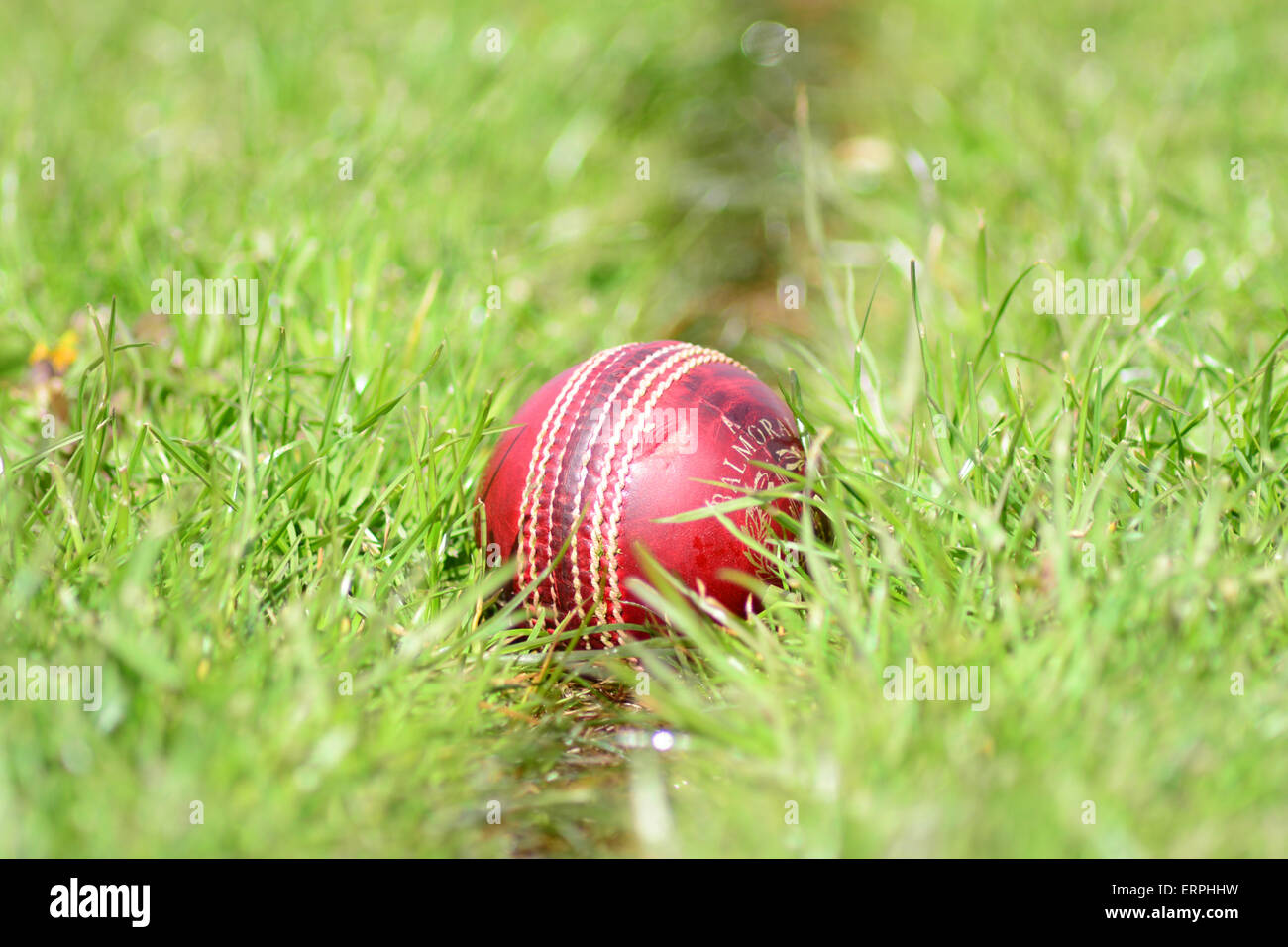 A cricket ball on a cricket pitch. Picture Scott Bairstow/Alamy Stock