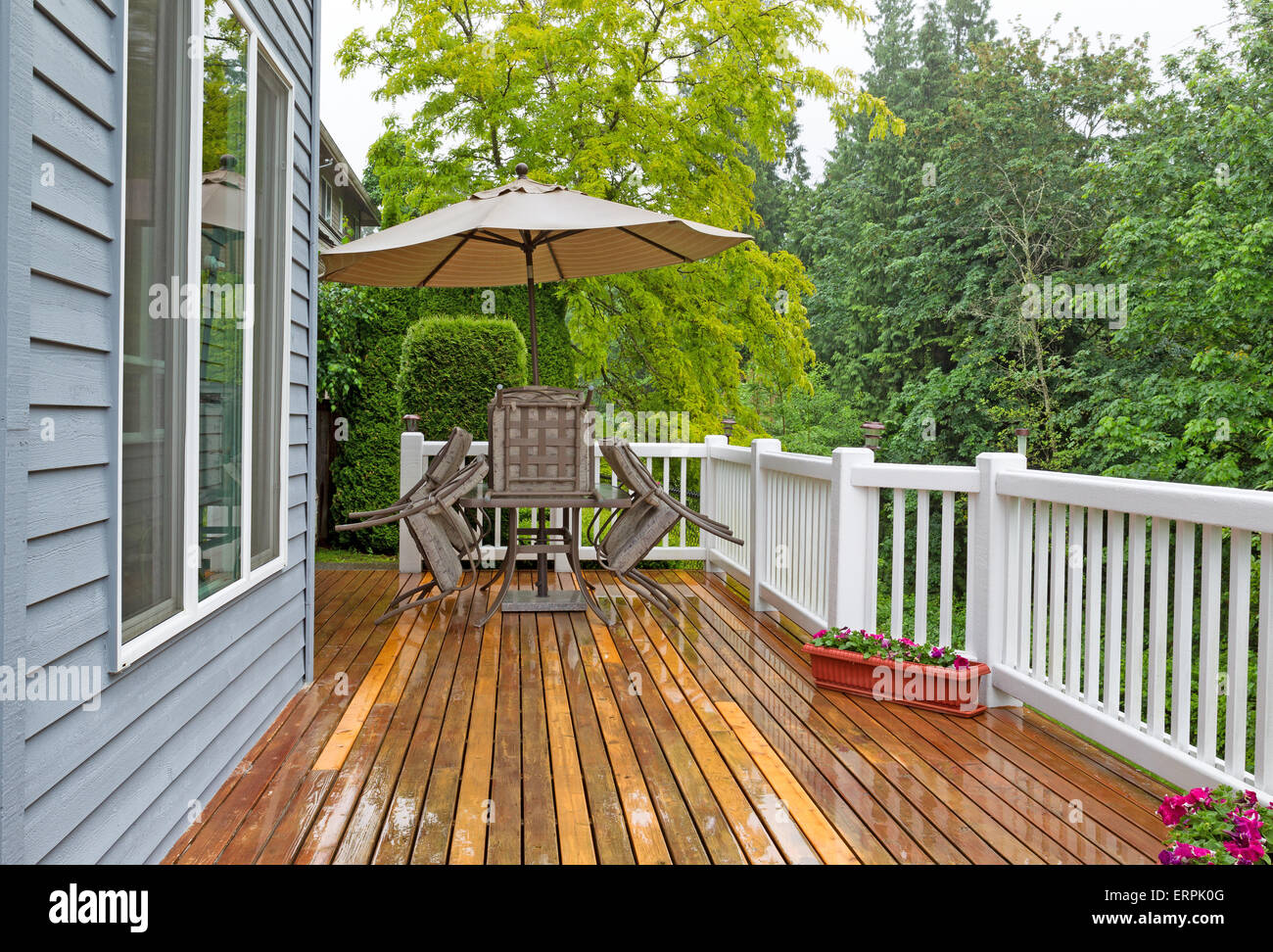Cedar nobody plants tree hires stock photography and images Alamy