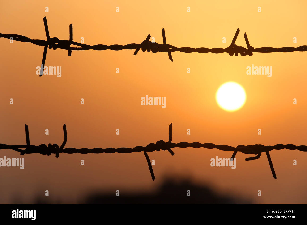 Setting sun behind a fence of barbed wire Stock Photo - Alamy