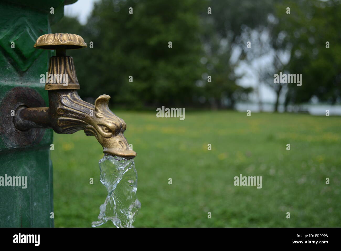 Brass dragon water tap in park with water to enjoy Stock Photo Alamy