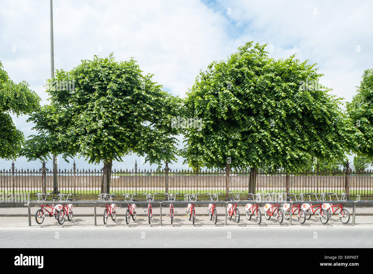 Belgium, Antwerp, Velo Cockerillkaai - bike to hire Stock Photo